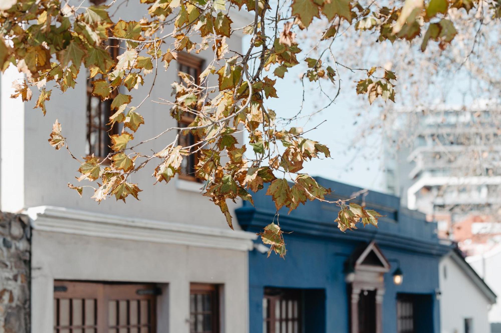 Gasthuis Cape Finest Located In De Waterkant Kaapstad